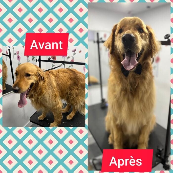 Images Le Purr Spaw