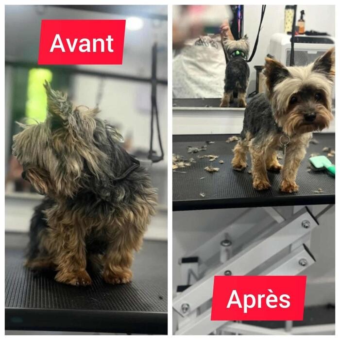 Images Le Purr Spaw