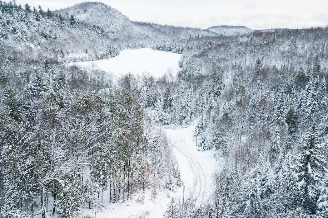 Images Domaine La Cédrière