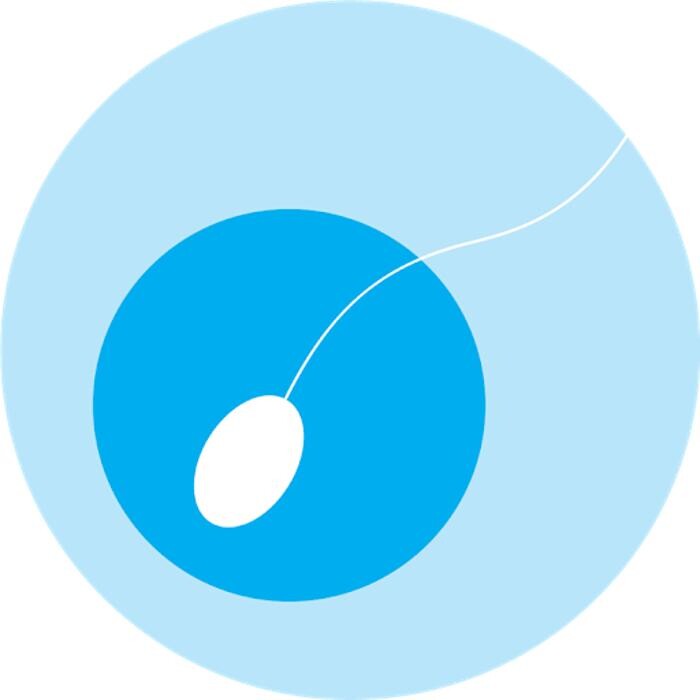 ELITE IVF Logo