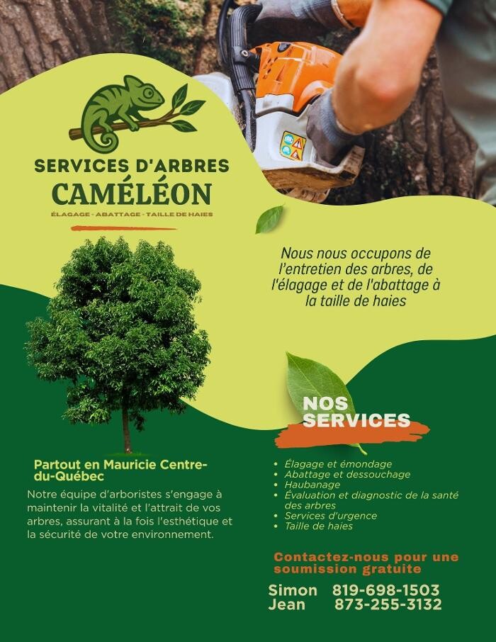 Images Services d'arbres Cameleon