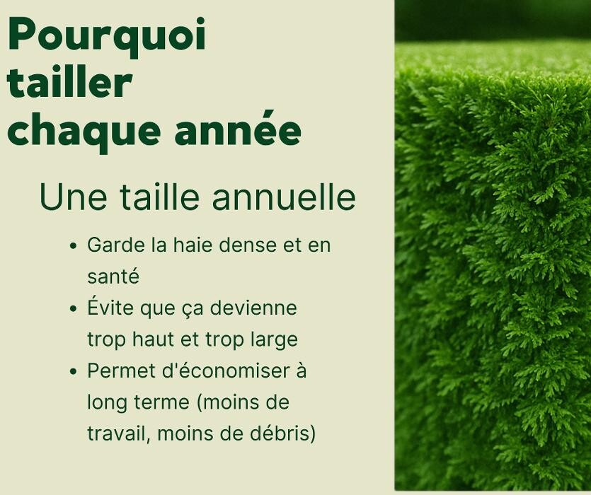Images Services d'arbres Cameleon