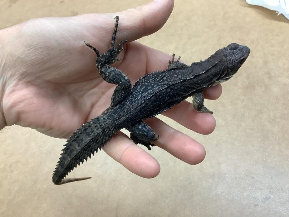 Images Animalerie Eragon
