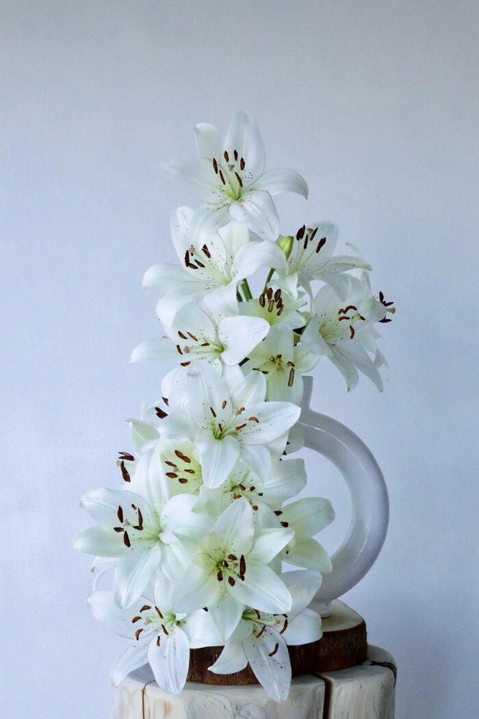 Images Stemning Blooms