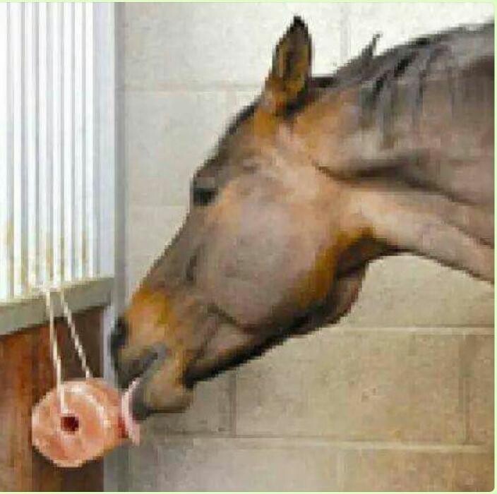 Images Khyber Imports & Exports Ltd