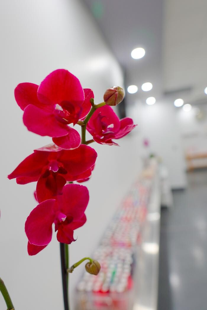 Images Daisy Nails & Spa