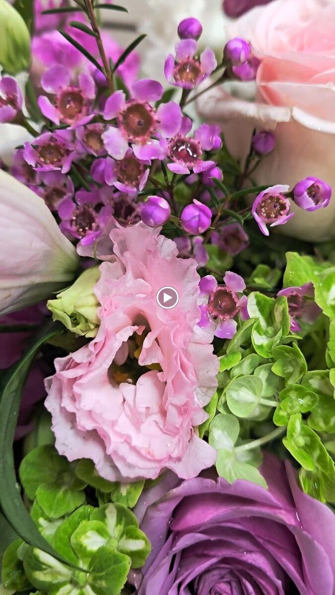 Images Cambridge Flowers & Co.