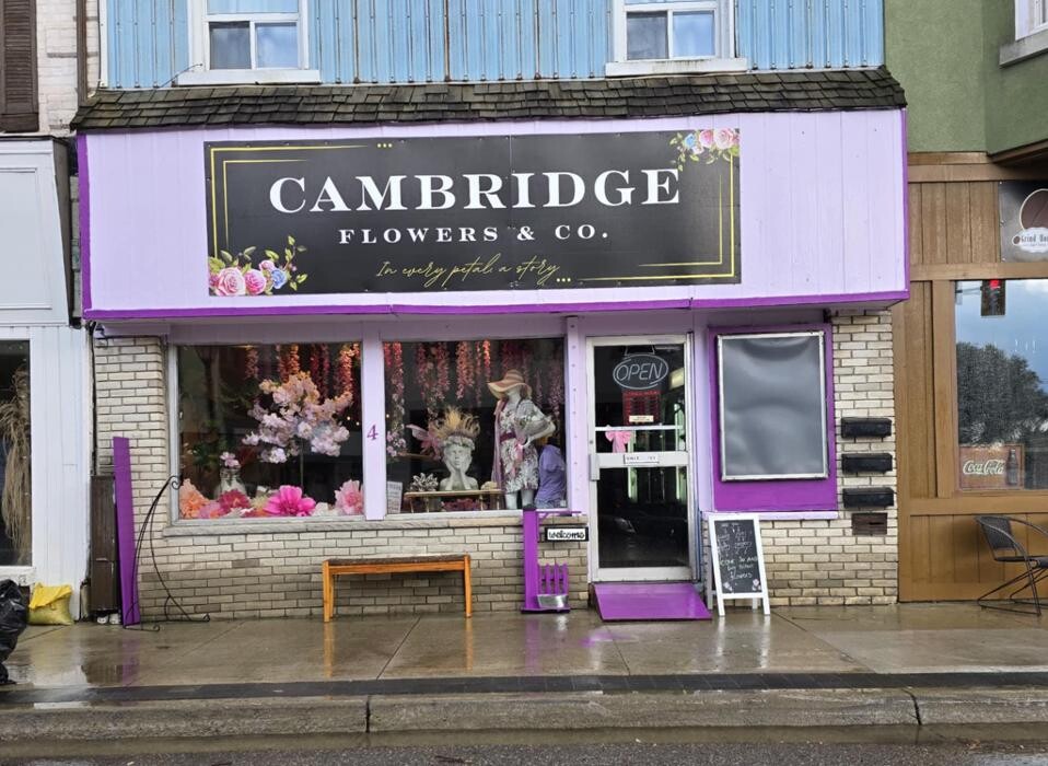 Images Cambridge Flowers & Co.