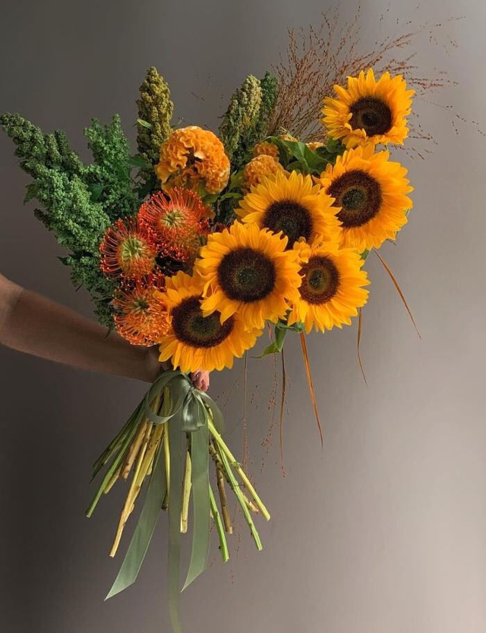 Images Cambridge Flowers & Co.