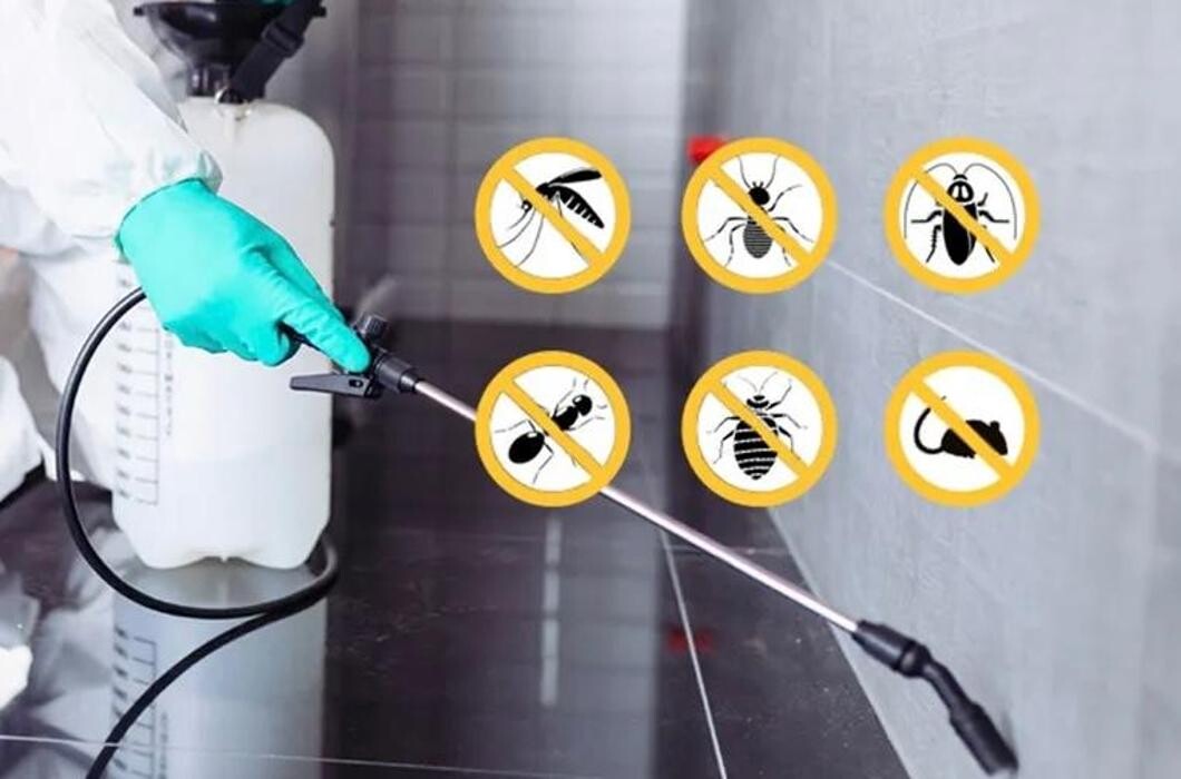 Images Eastside Pest Control Vancouver