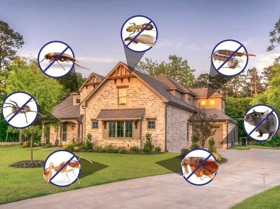 Images Eastside Pest Control Vancouver