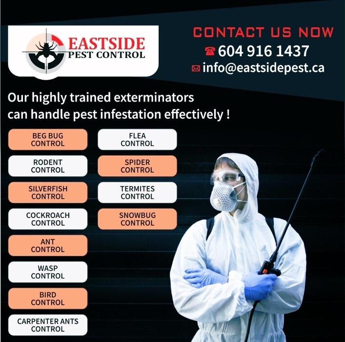 Images Eastside Pest Control Vancouver