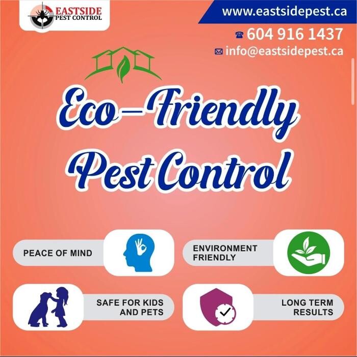Images Eastside Pest Control Vancouver