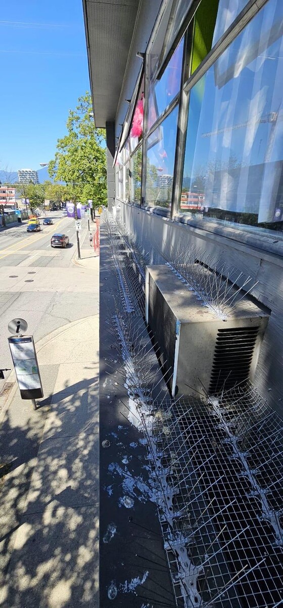 Images Eastside Pest Control Vancouver