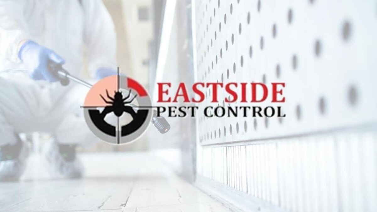 Images Eastside Pest Control Vancouver