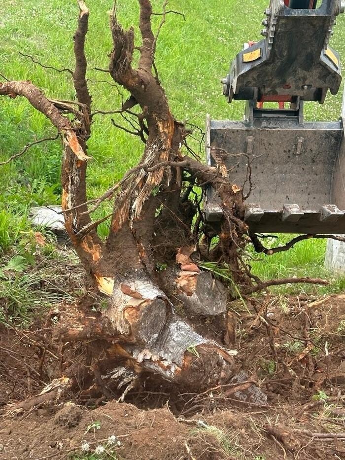 Images Eddie's Excavating Services