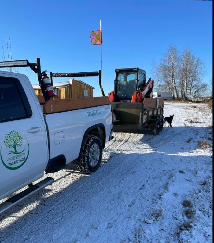 Images Environmental Tree Service