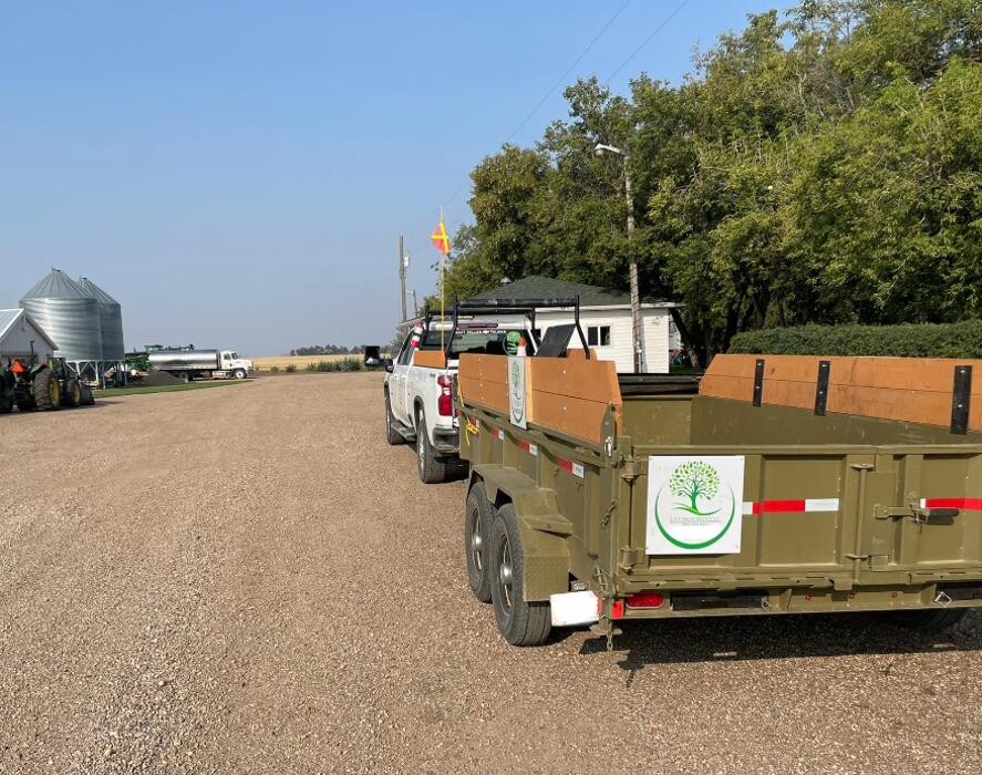 Images Environmental Tree Service