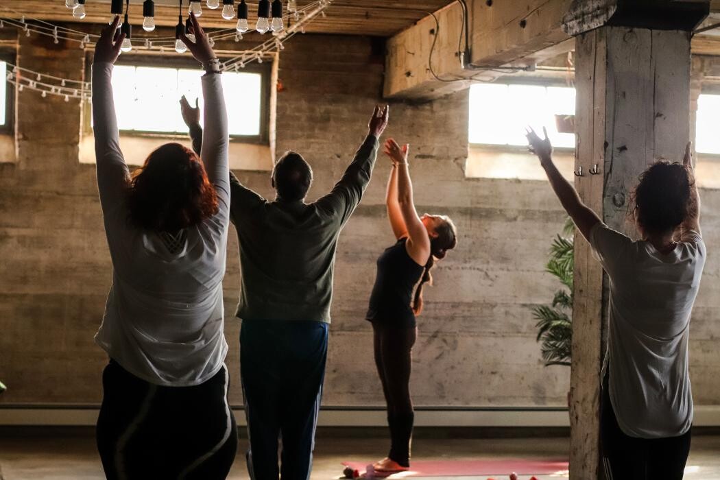 Images TVWF Healing Centre