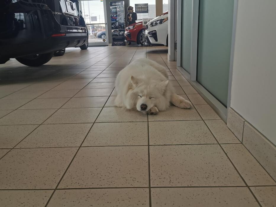 Images Orangeville Kia