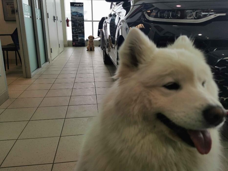 Images Orangeville Kia