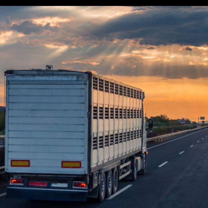 Images ACN Contracting Inc.