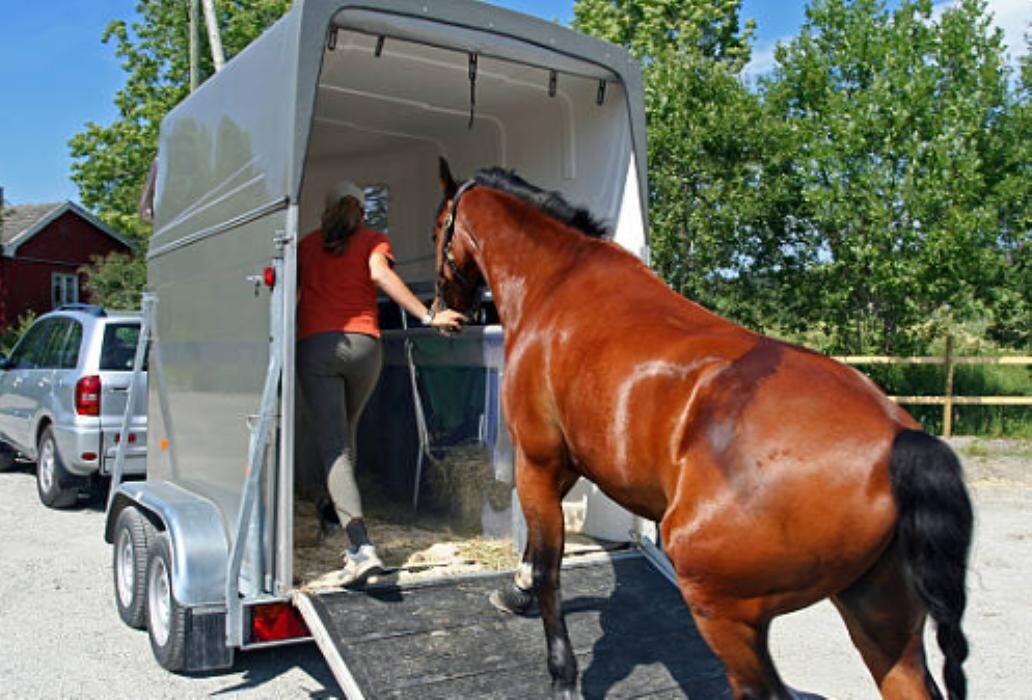 Images ACN Contracting Inc.