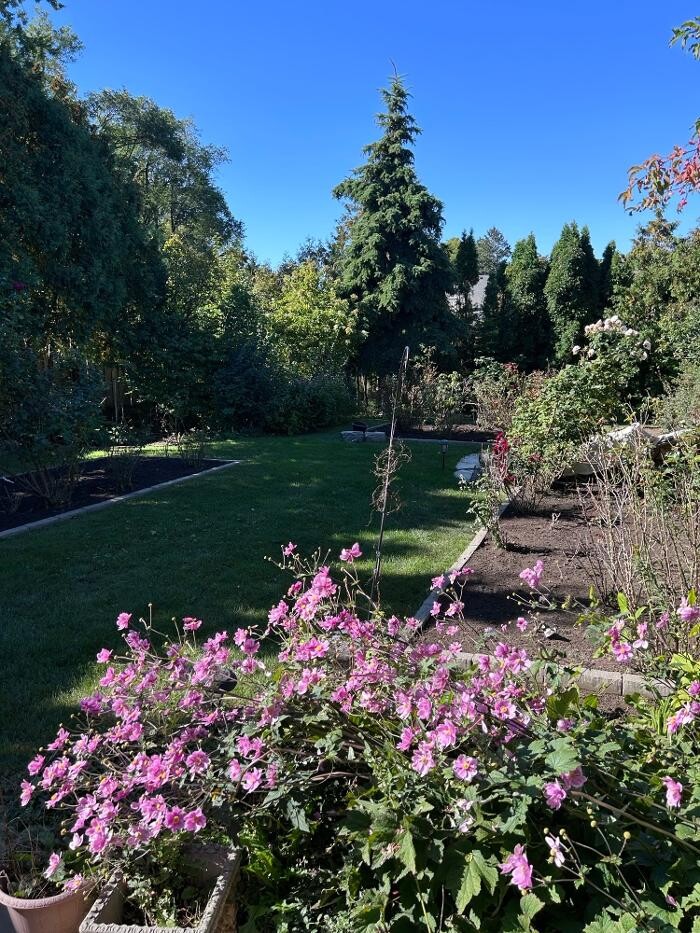 Images Land Treatments