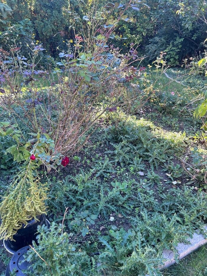 Images Land Treatments