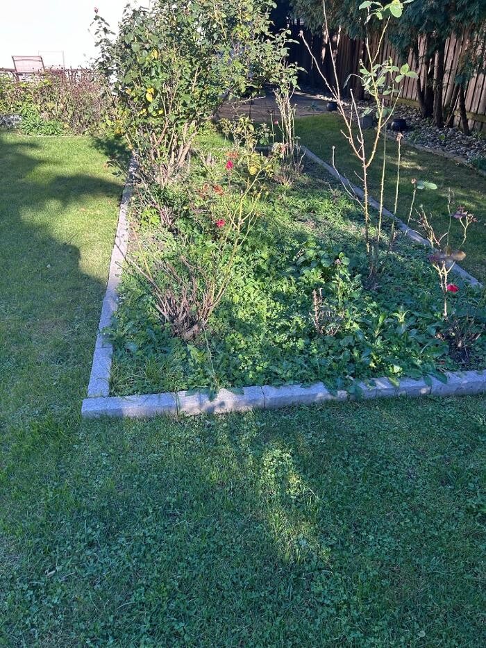 Images Land Treatments