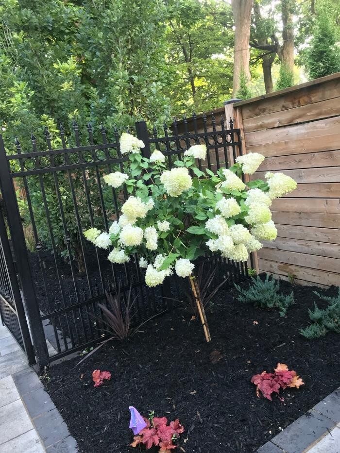 Images Land Treatments