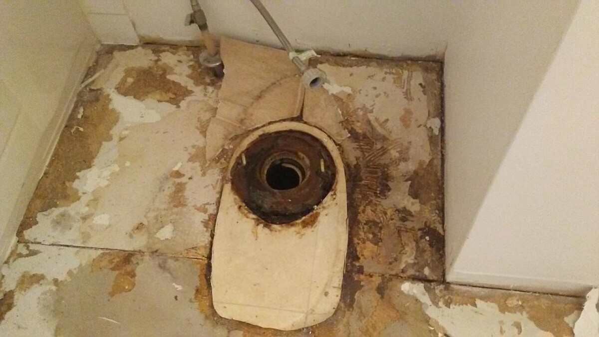 Images Quality Renos And Repairs