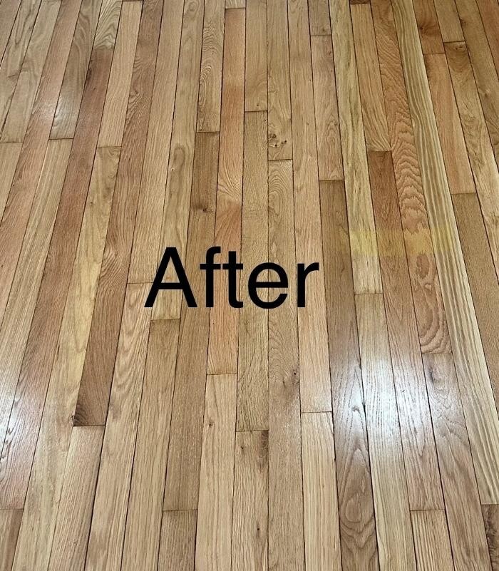 Images Fern the Floor Guy