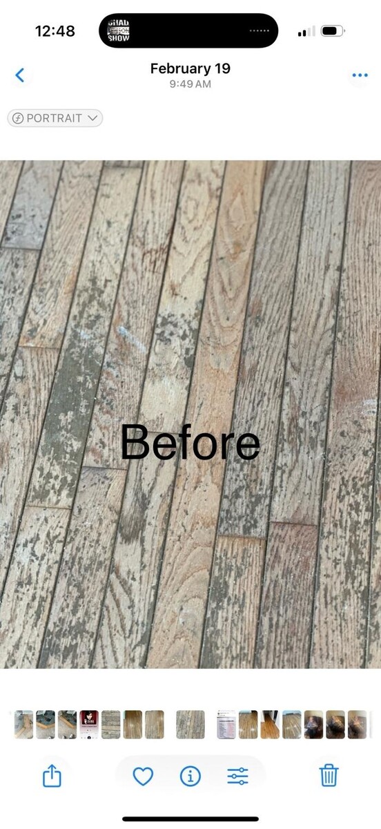 Images Fern the Floor Guy