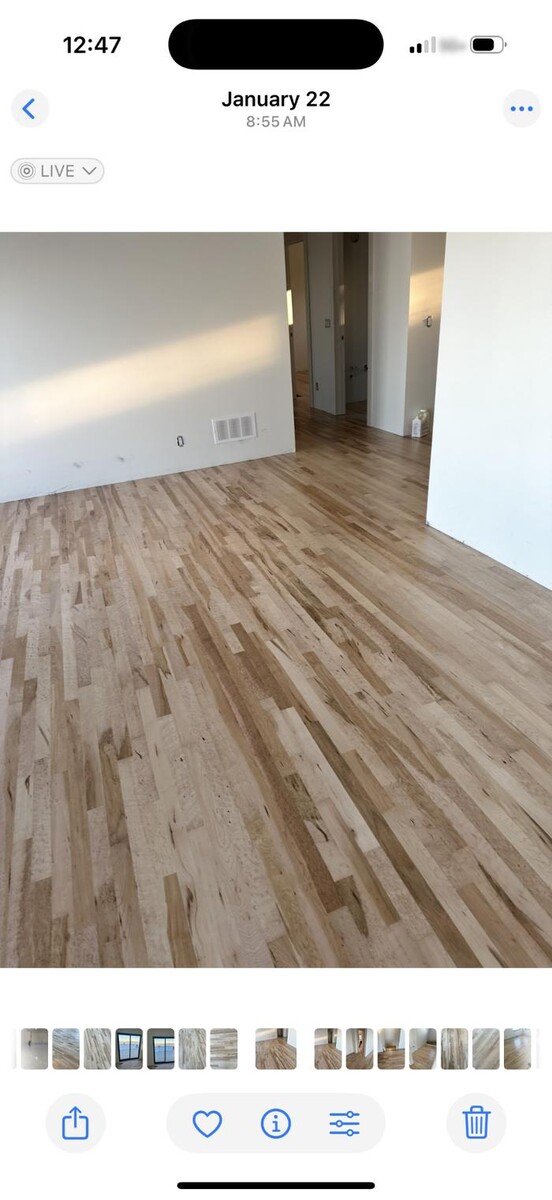 Images Fern the Floor Guy