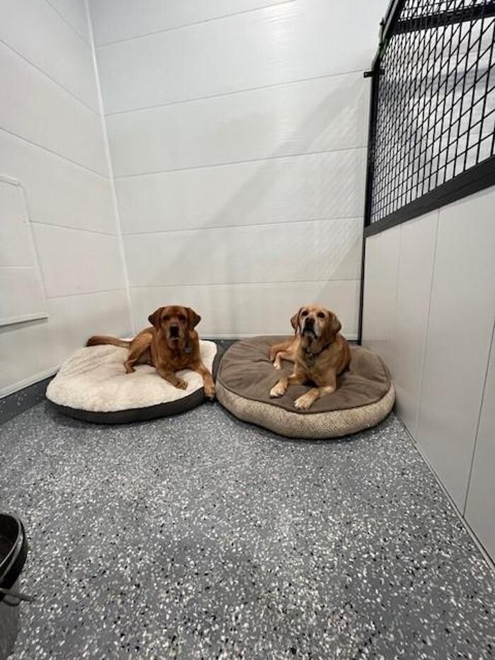 Images Escape to the Country Pet Retreat