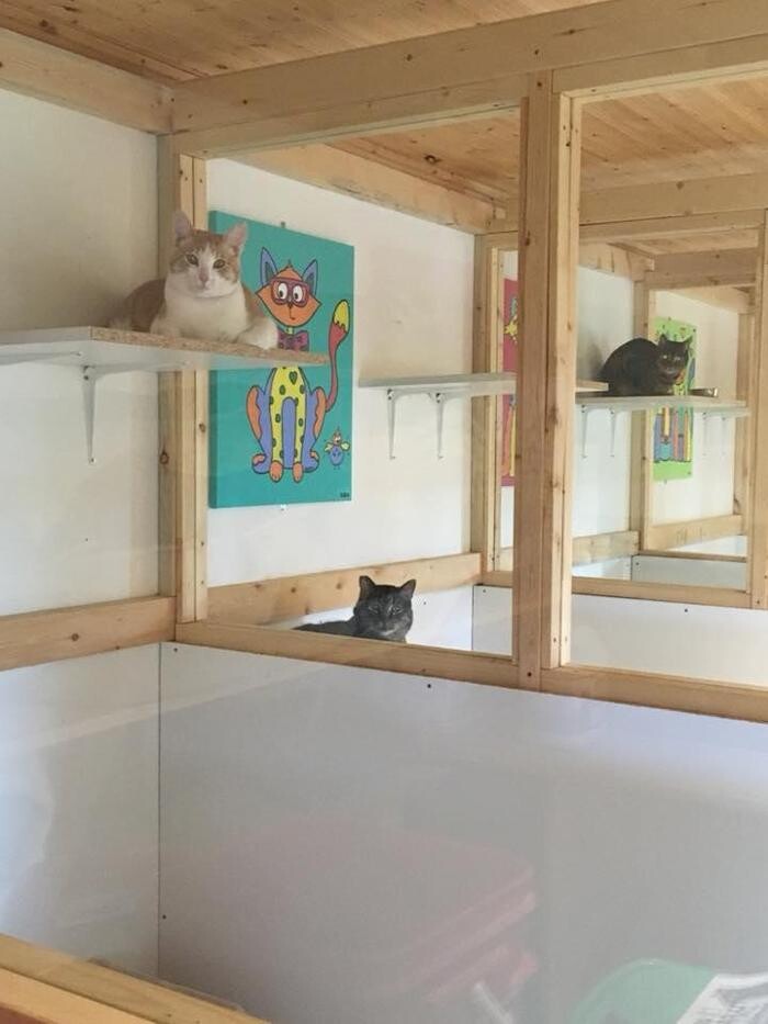 Images Escape to the Country Pet Retreat