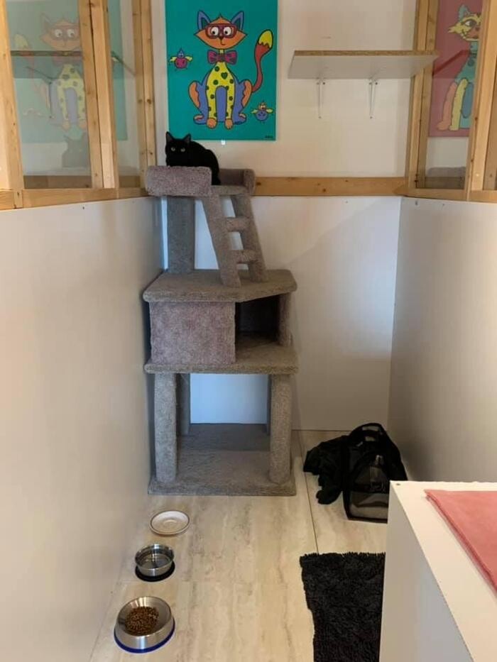 Images Escape to the Country Pet Retreat