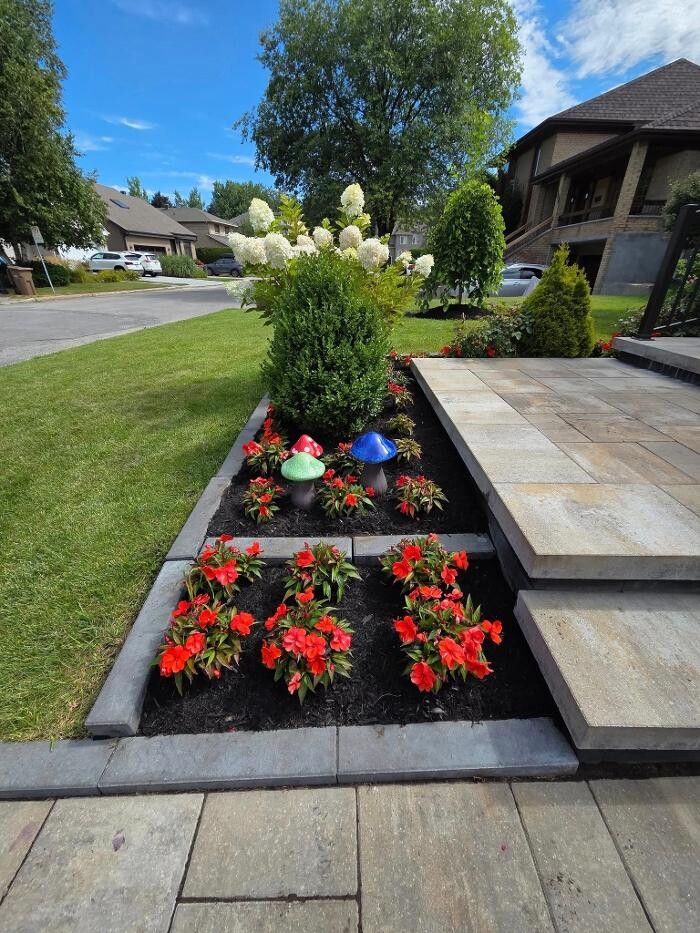 Images E D E N Paysagement Saisonnières