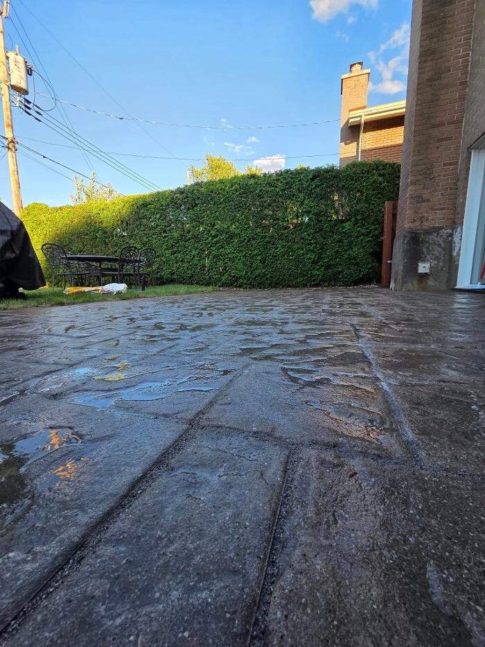 Images E D E N Paysagement Saisonnières