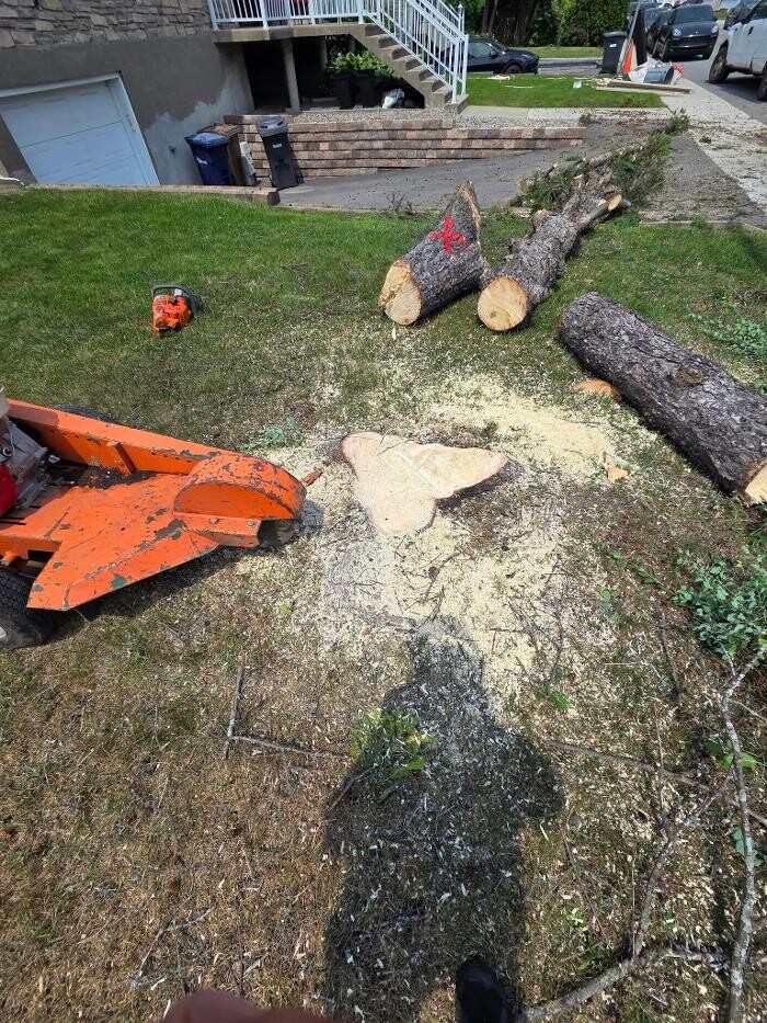 Images E D E N Paysagement Saisonnières