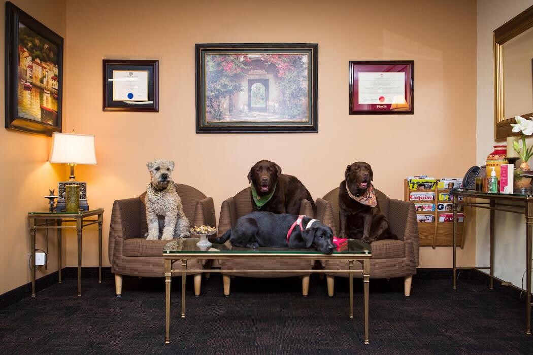 Images Goldwater Droit