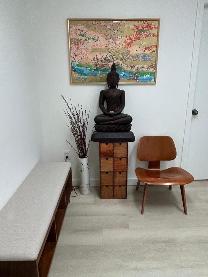 Images Ilona Spaar Clinical Hypnotherapy & Somatic EMDR | Vancouver