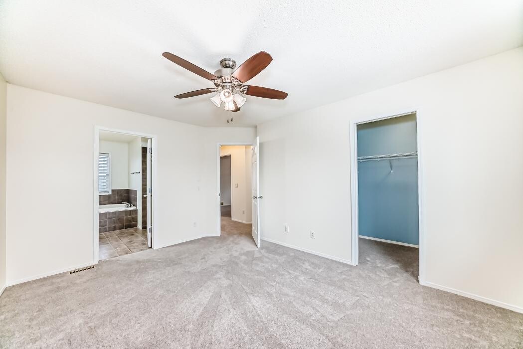 Images Pinnacle Pro Painting