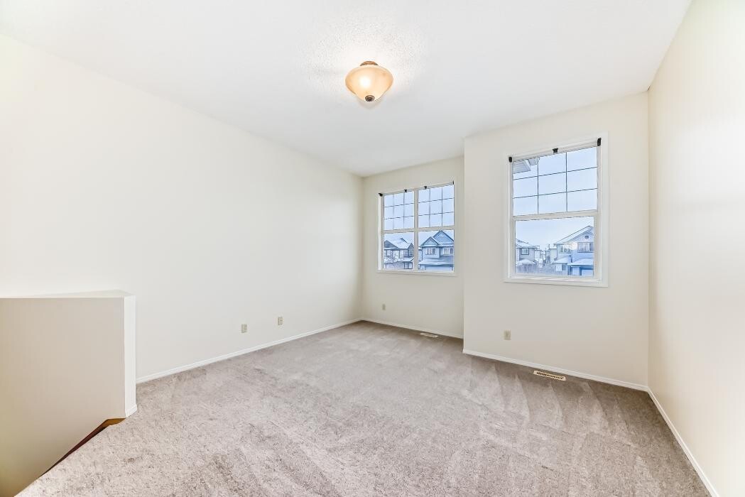 Images Pinnacle Pro Painting