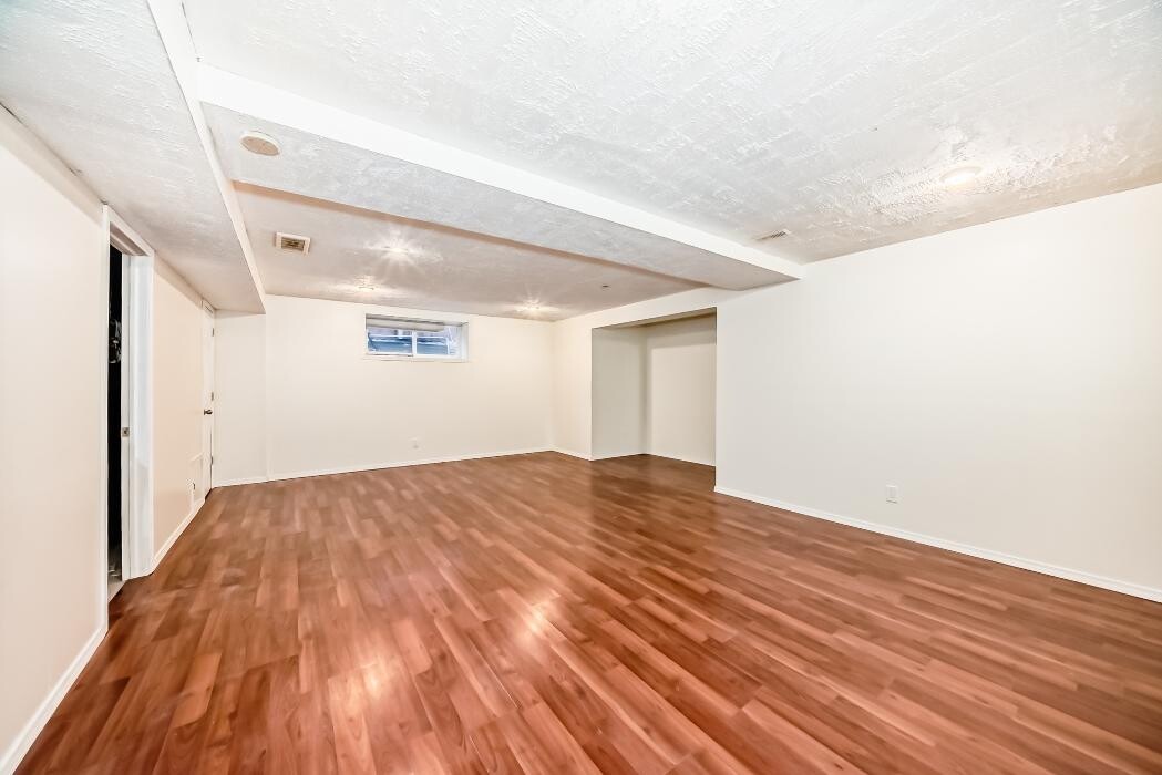 Images Pinnacle Pro Painting