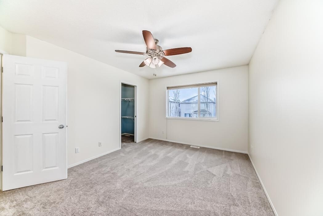 Images Pinnacle Pro Painting