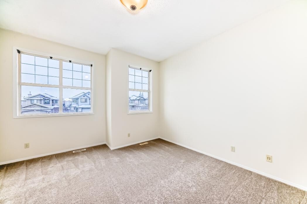 Images Pinnacle Pro Painting