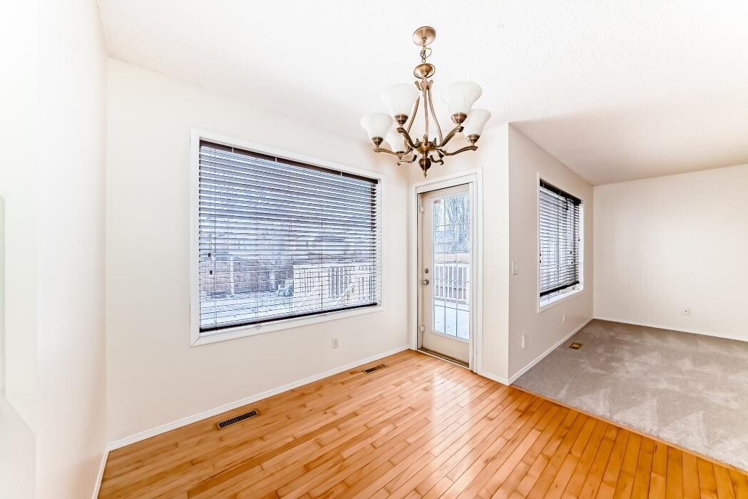 Images Pinnacle Pro Painting