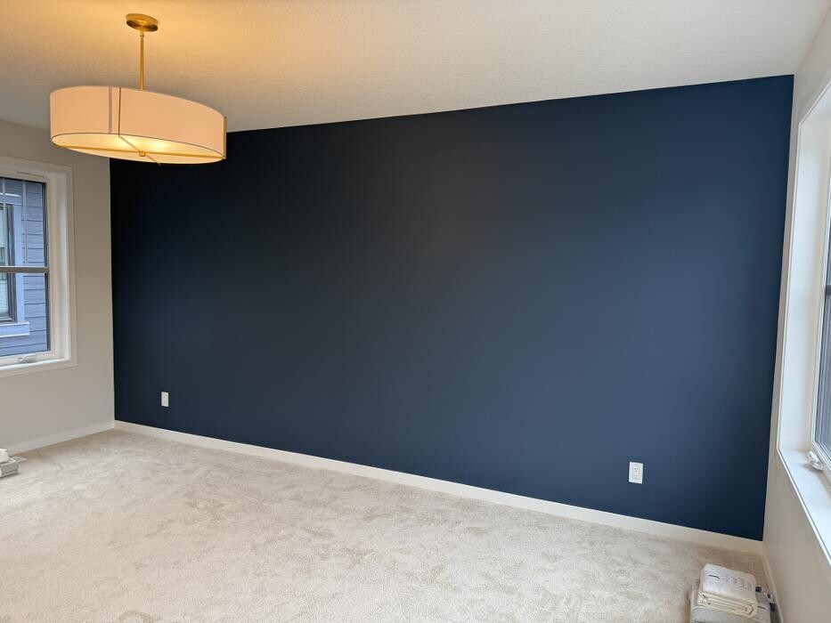 Images Pinnacle Pro Painting